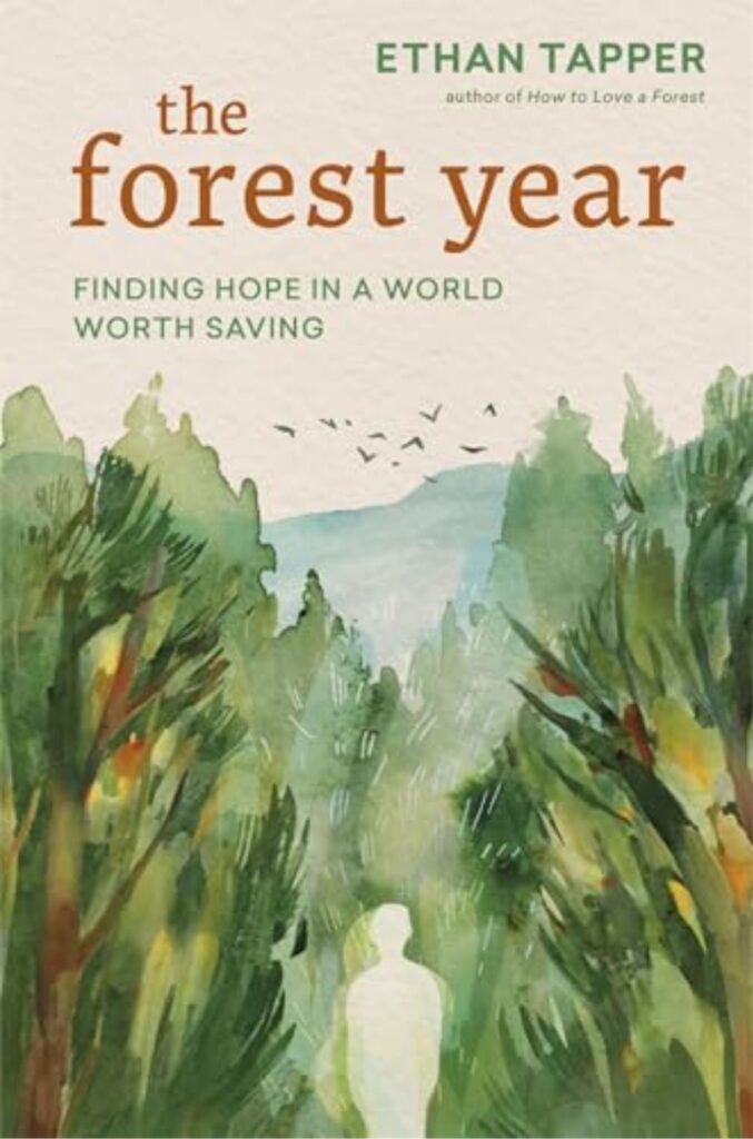 The Forest Year by Ethan Tapper