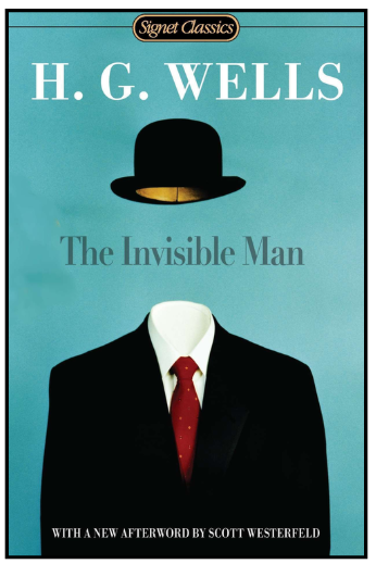 Invisible Man book cover image