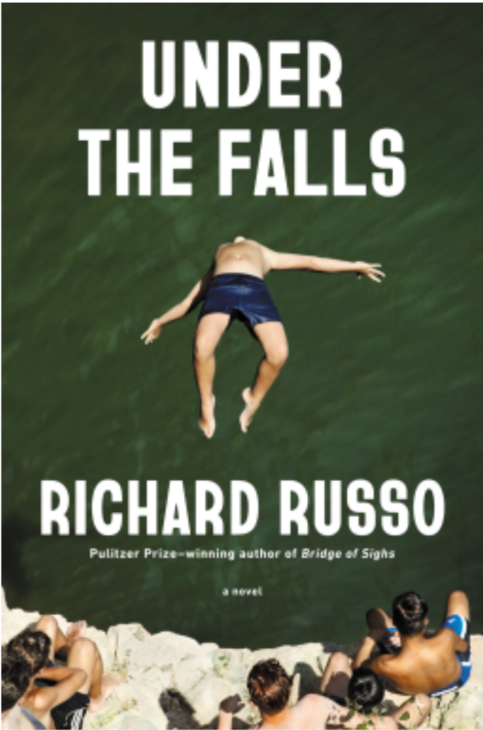 Book Image Under the Falls